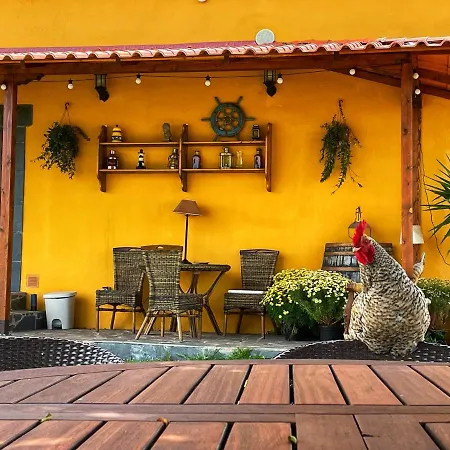 Tenerife * Tacoronte