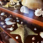Tenerife 빌라 타코론테